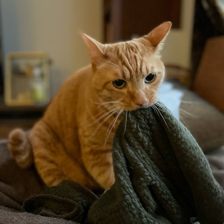 F2c2b366 9403 4311 a8ec e002fd1f6a09 1670071247307