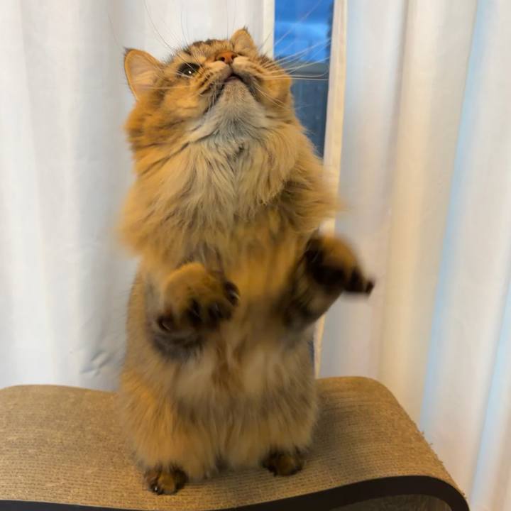 F2c2d50b 0996 4435 9106 3f9101694b48 1765405056296