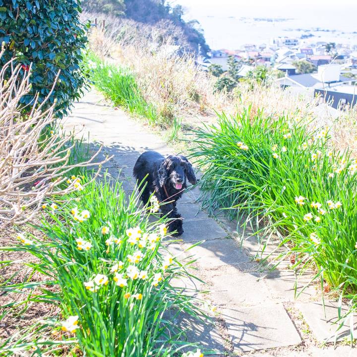 F2c2e0fb ef74 4001 ad39 06bcc4980f25 1582556421231