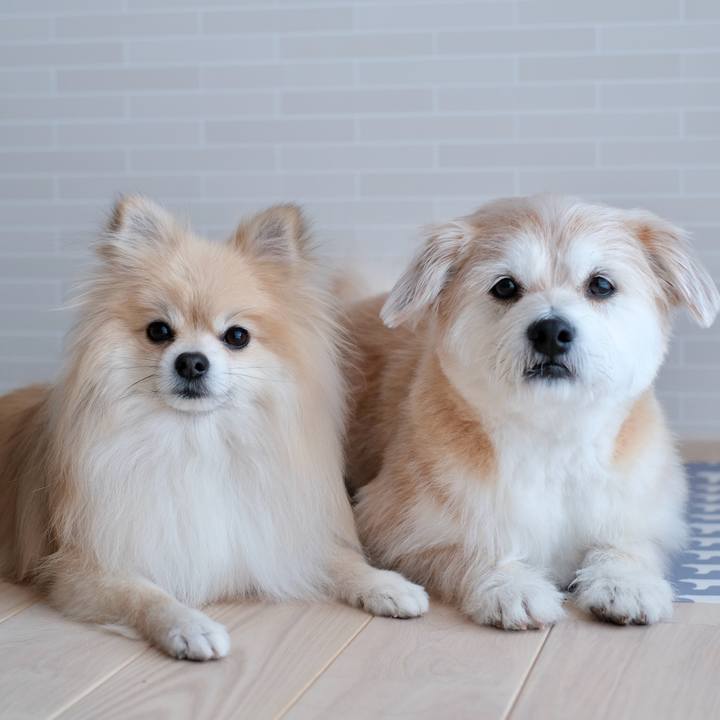 F2c3274b 995e 4486 a52f 2d1070c8b51a 1773266798484