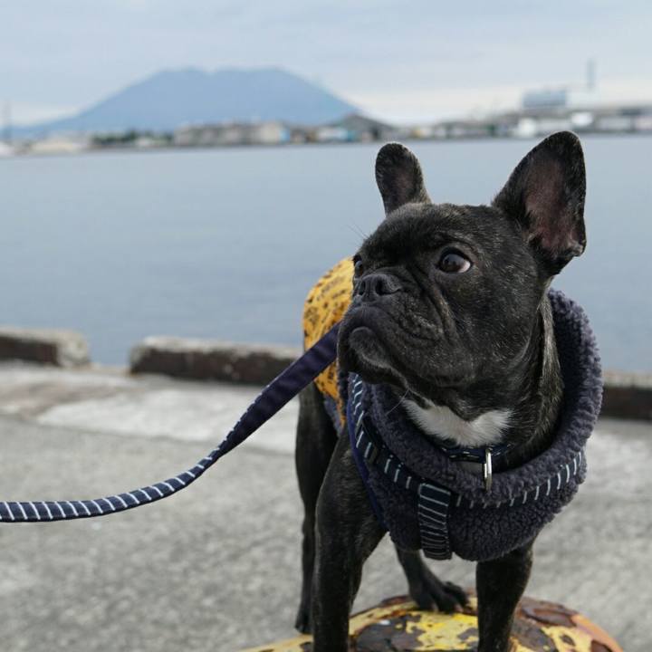 F2c32bb6 f84a 4cfe a418 cdb2c53f0f24 1515035219378