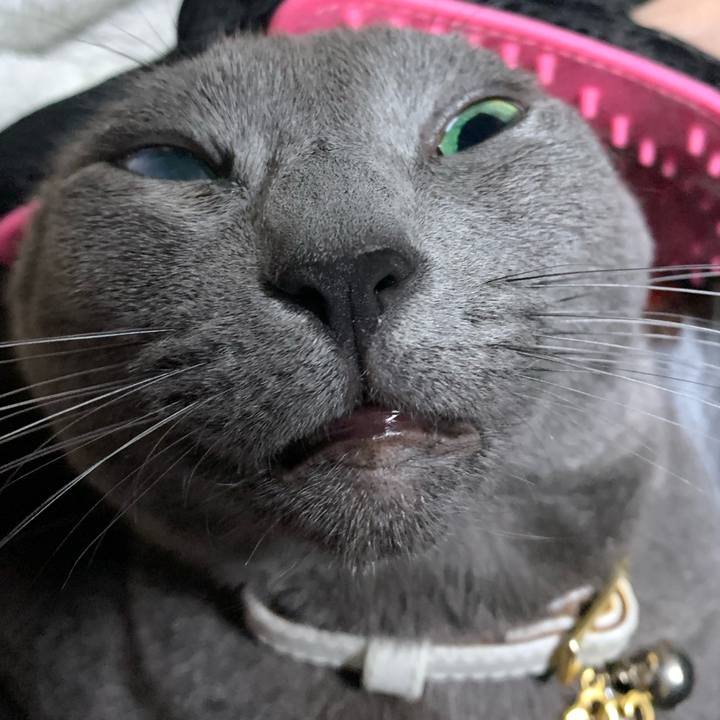 F2c32f11 c6cd 4930 b1fd 00bfcd59970a 1635653956736