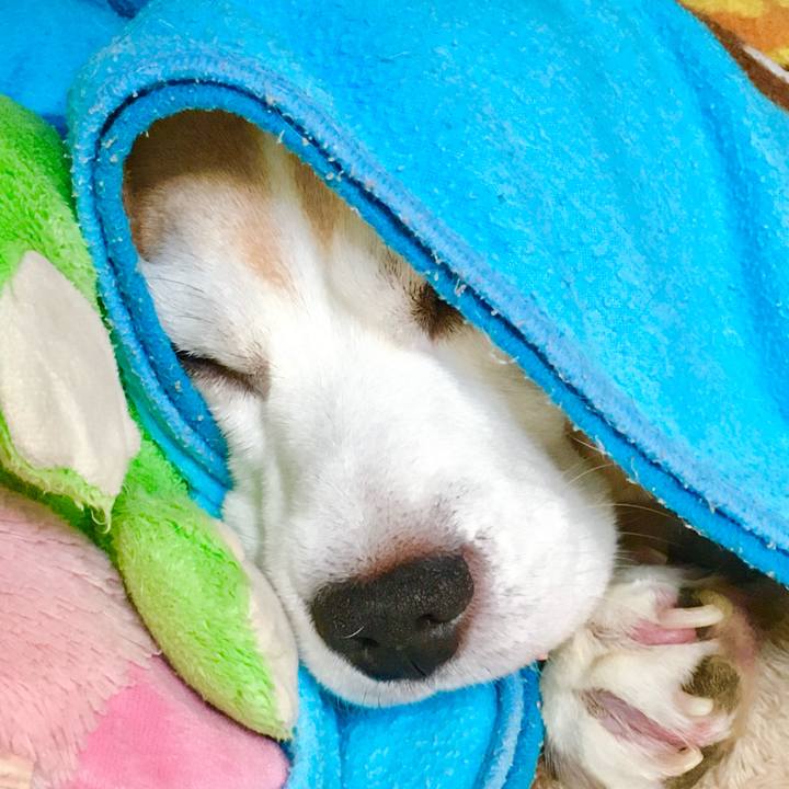 F2c33423 d5ec 4a14 b3b7 13b9c14c7cf6 1762526152702