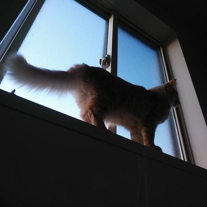 F2c35ea6 a253 4e95 a5b3 8358234a0a5c 1641281883148