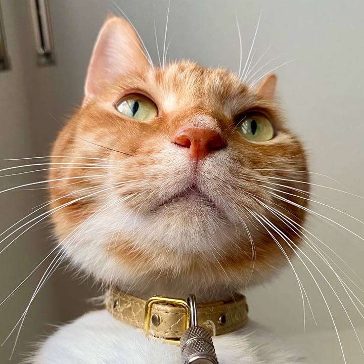 F2c36e2e 8666 4b2e abe8 507c0fe8b35d 1759157682407