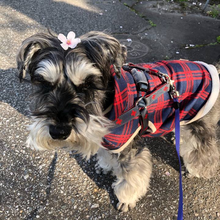 F2c3d9ae 8b2c 4b22 bf9a f8b92a79f813 1681011917322