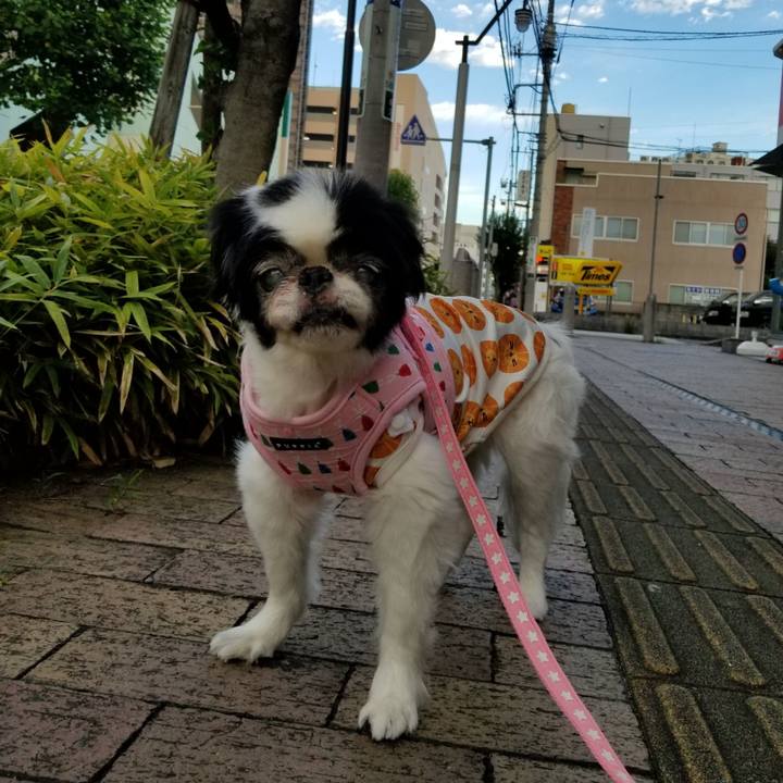 F2c418ec 11c6 4ea7 a56c 98f2b687f94d 1628555463613