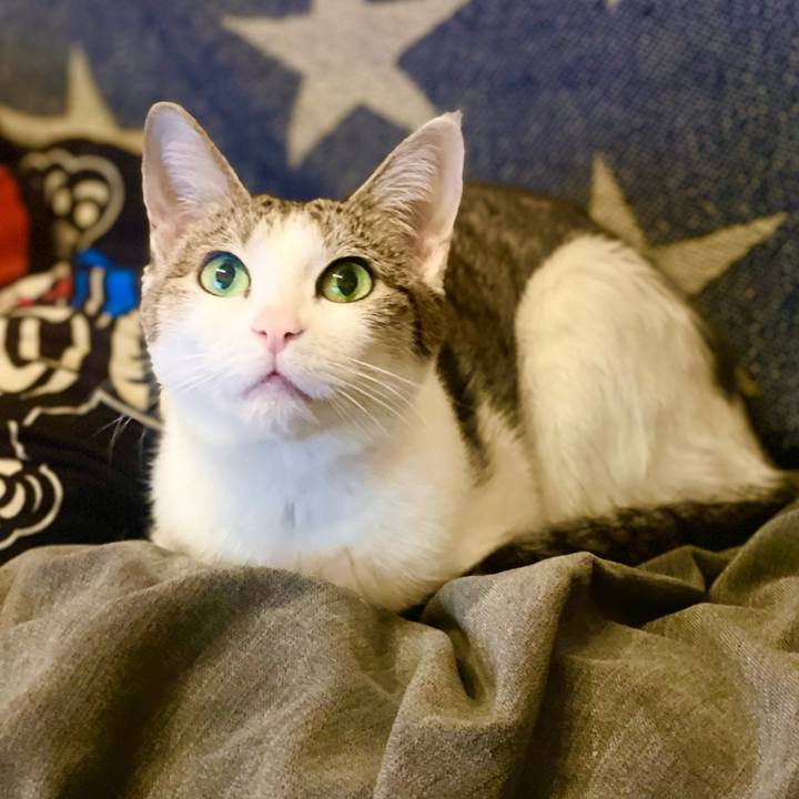 F2c46548 0e3a 4582 9e01 522c22f33e03 1674689260227