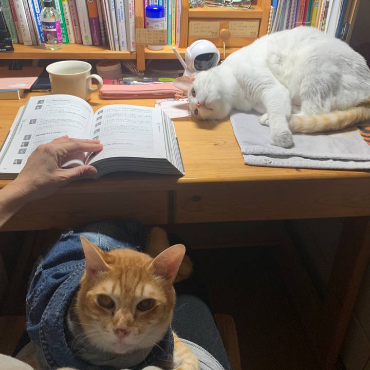 F2c4a14e a37a 4e02 9aae 7c23a294cd08 1644183766781