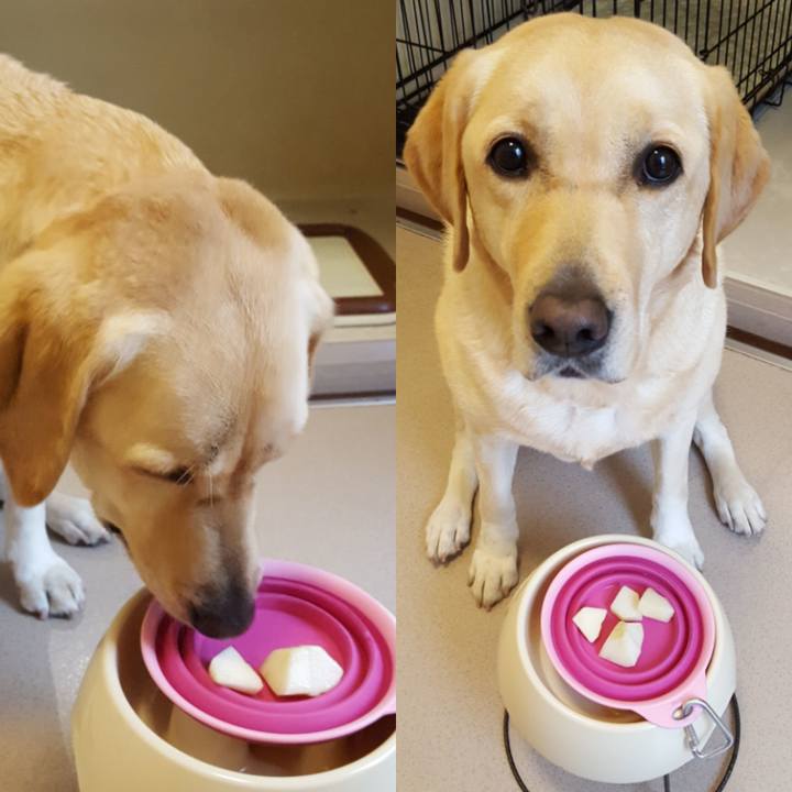 F2c4b9f7 0b76 47a0 a5d1 10df5892cd21 1511662351296