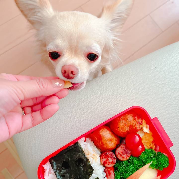 F2c4ffd0 6da9 466b b32c e2a6e6187988 1648076569557