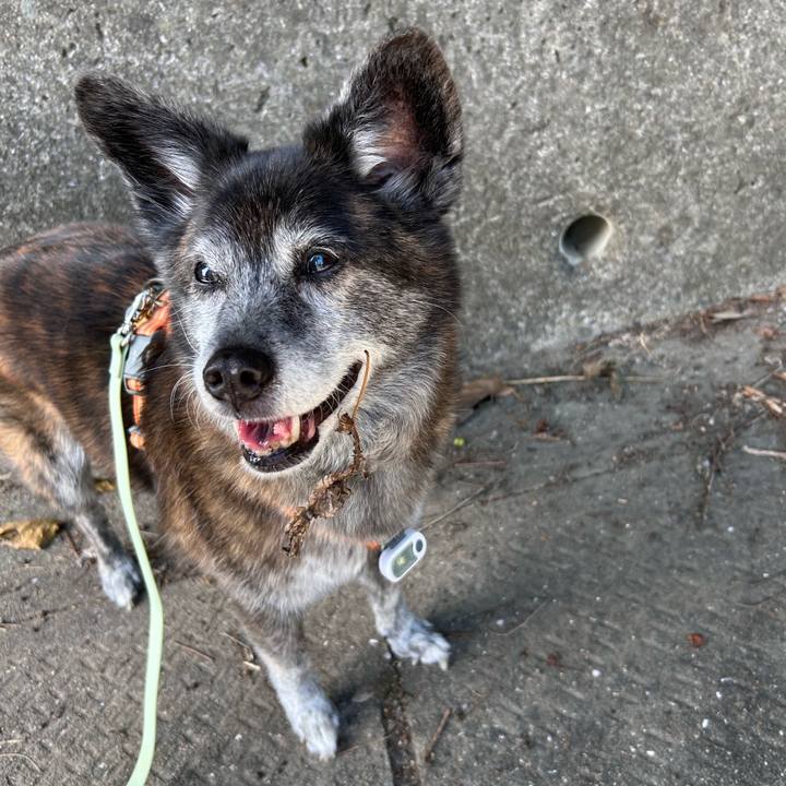 F2c58b54 afd1 46fa 9ddc 3a8975110d7b 1760967845781