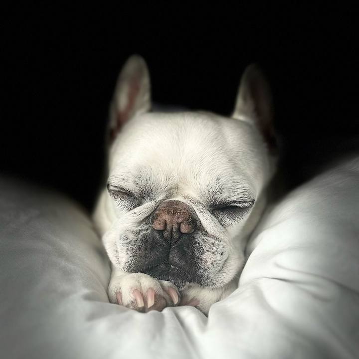 F2c58c27 ec55 4740 8526 0a98f73c9ebe 1712620482222