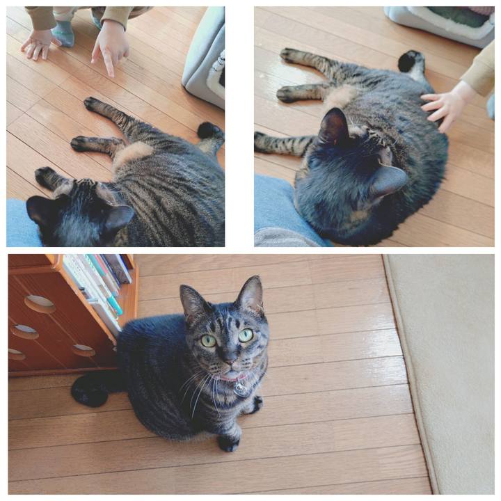 F2c5c05c 8dfb 463d 9d4a cc8402a587df 1773539556621