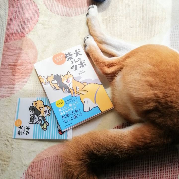 F2c5cca1 64b8 4a94 8c6d 8413d1245bc1 1617850241650