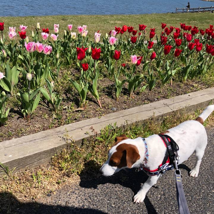 F2c5dfb1 e99e 42ea b621 50e38aa1f6fa 1618133643576