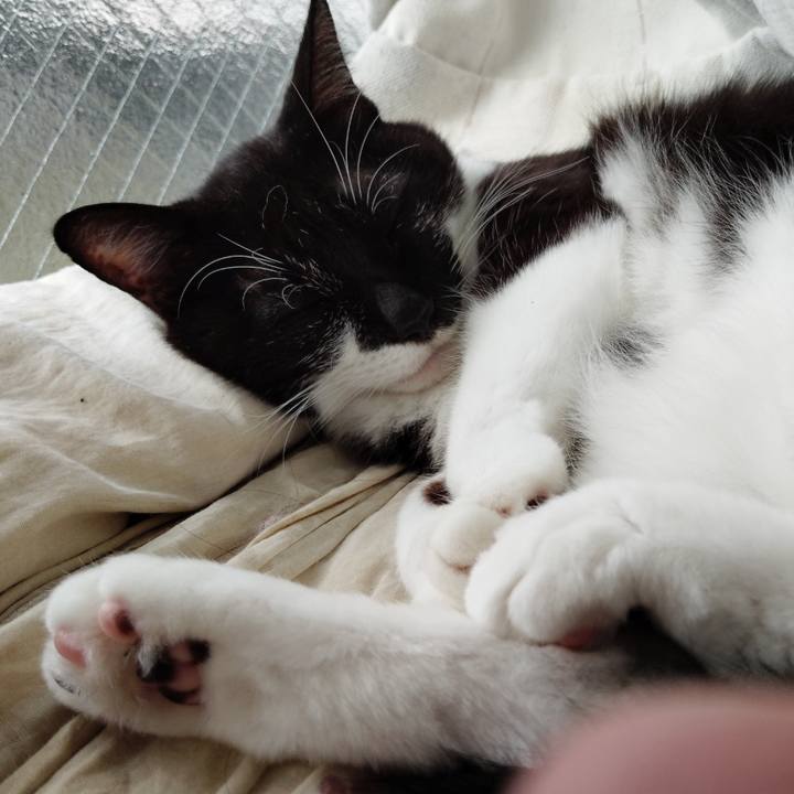 F2c5fbb2 403f 40df be46 3d939745c4cf 1768458112645