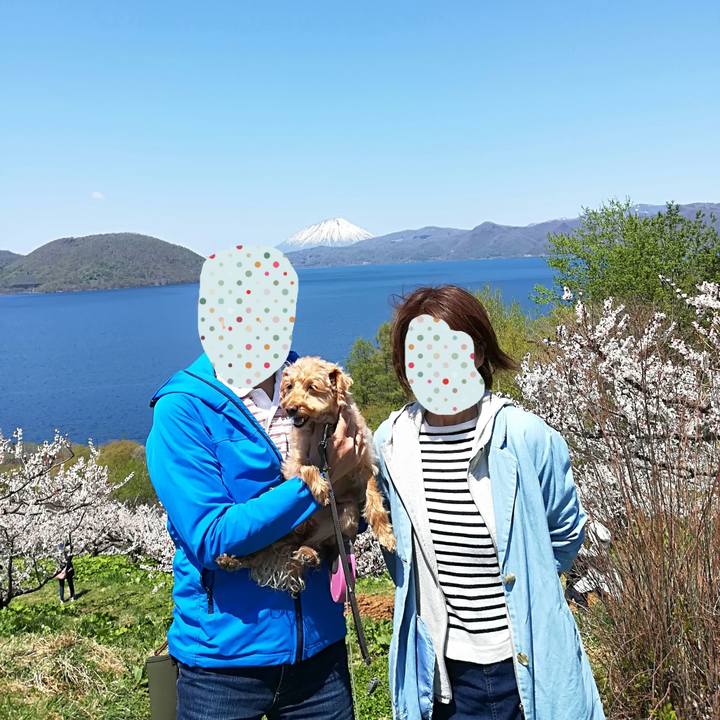 F2c64d47 8bf4 4bfa 9334 dc66f6d79578 1557631734448