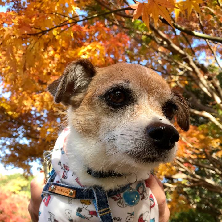 F2c66d4e 67f3 429e ac01 17171417447d 1606019724225