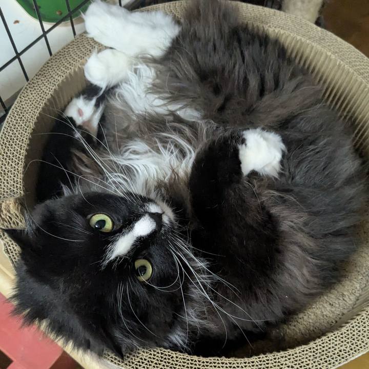 F2c67c6a ada5 4bdf b285 11a2806b6427 1747174594038