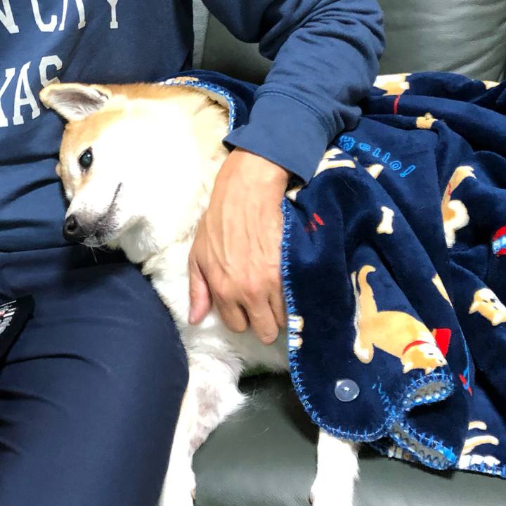 F2c6ad2a 2d9e 46ce 8ecd fe9a1de4a973 1572695167017