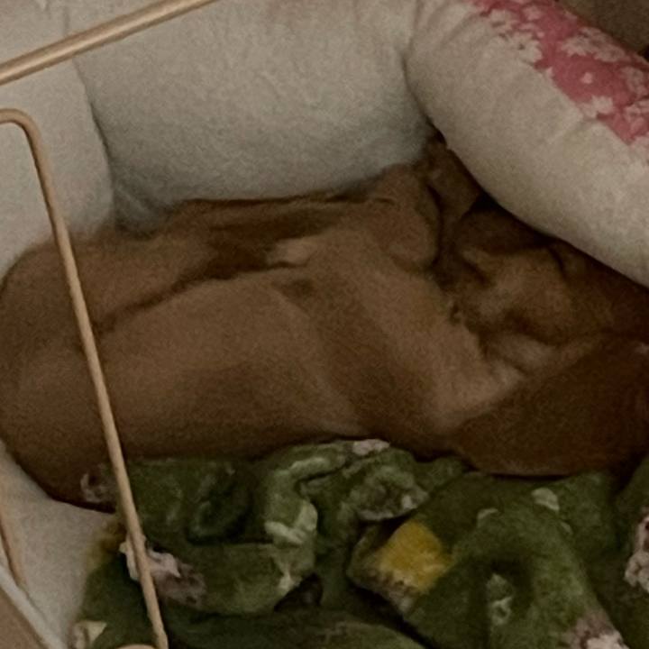 F2c6ddd2 b8a4 40fa a0b6 592c68ce2f10 1665120421947