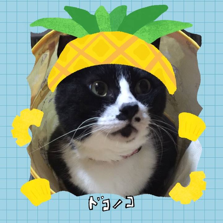 F2c6f161 c717 4993 945a 4acab38ab9c0 1783725054397