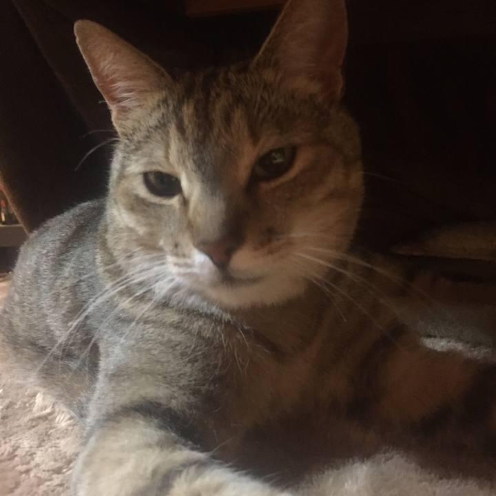 F2c72cb2 da8f 47a5 b858 bb9dc8cd8df0 1523630094368