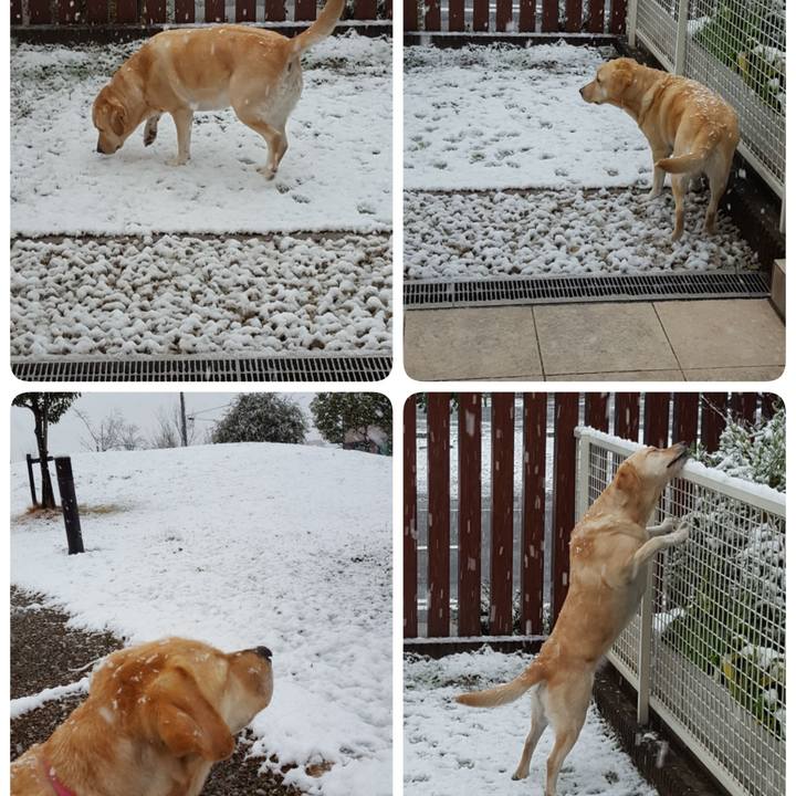 F2c72dbf daf1 4800 a768 e05db78bffb5 1514340107306