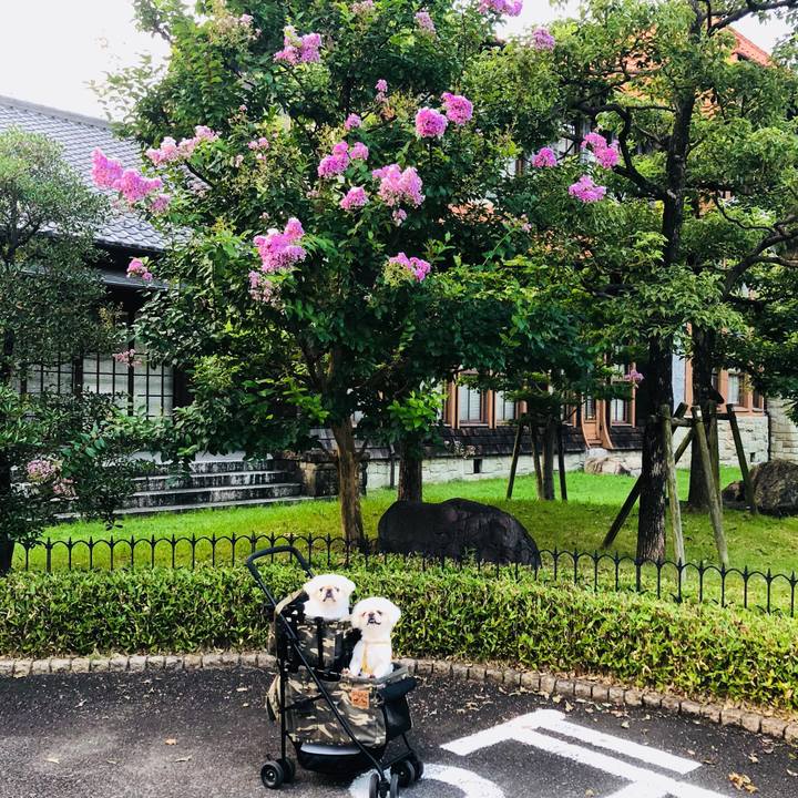 F2c73361 c18d 42ae 9eb6 a3b3e0b82ffc 1596664902219