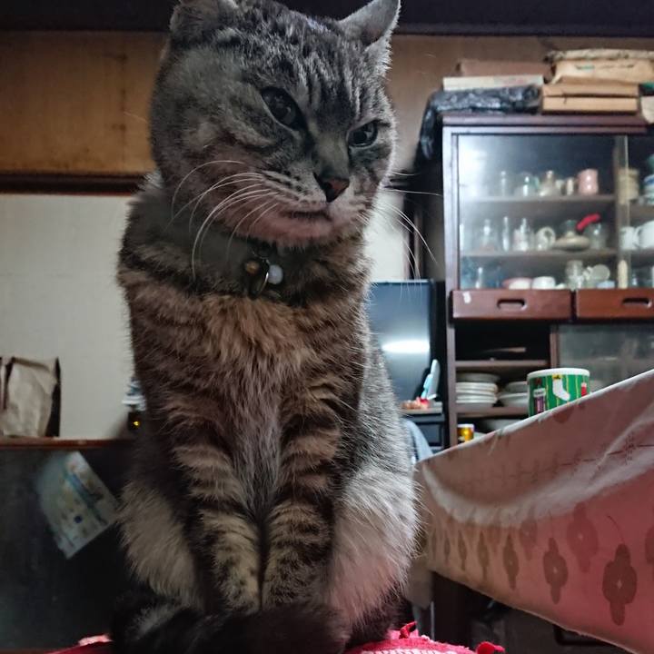 F2c73b6a 71e7 4ab6 9ce6 8897aa0c4bbb 1555099483748