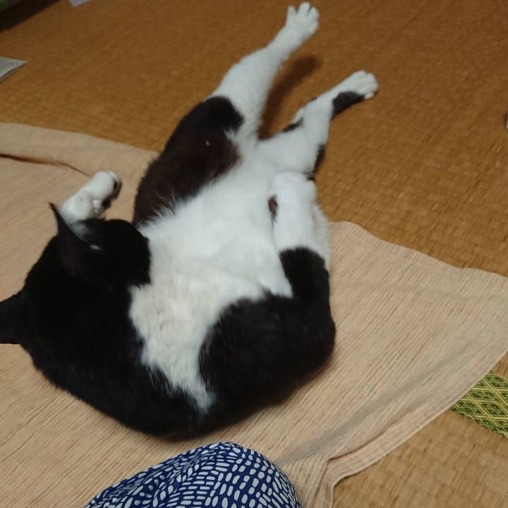 F2c74b01 69c9 4170 84da a1b292941de0 1592994553386