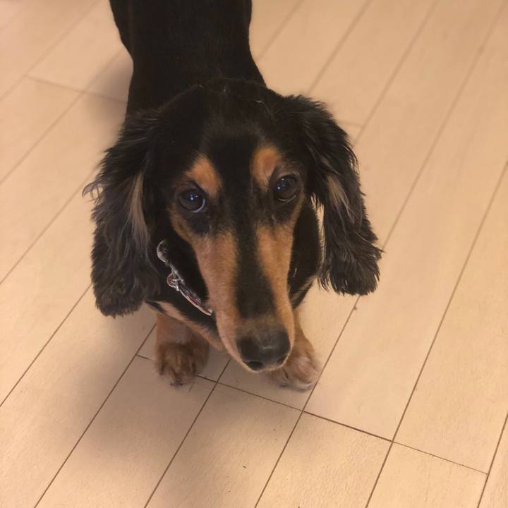 F2c75acd 19e1 48f5 b097 7540b19d3cec 1567376839509