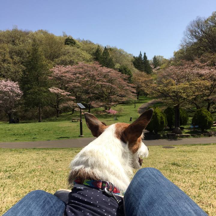 F2c774cd 21c8 4512 99e7 4a0cc14f6fea 1649632980283