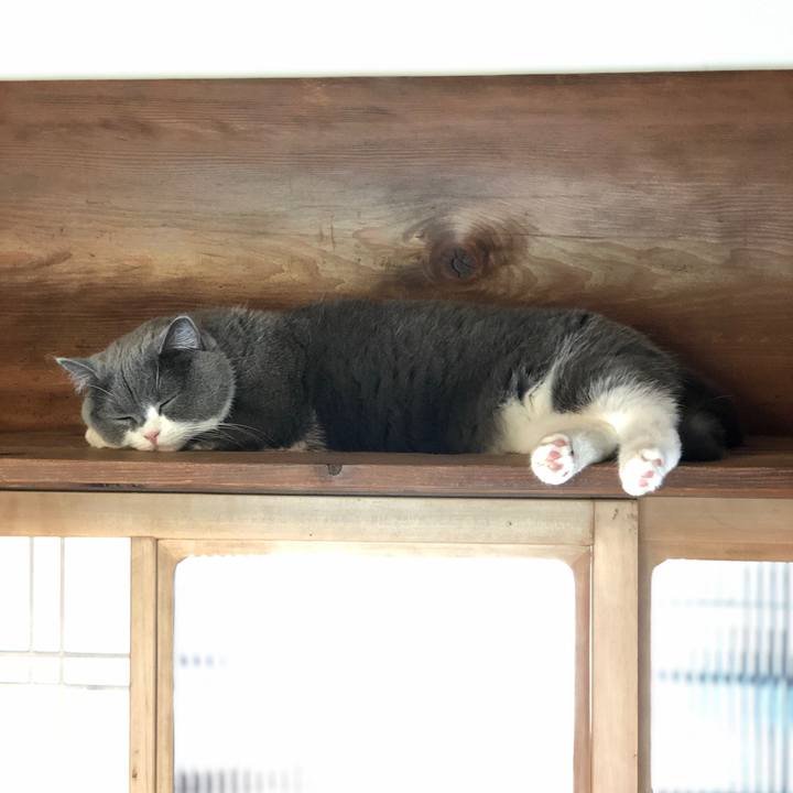 F2c790fa e225 4002 ad18 98eb7c600b3f 1556583898352