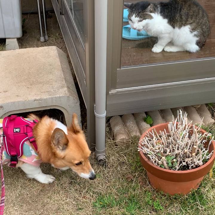 F2c797ec dd69 4349 acfb 80eda82ccc3b 1616203948299