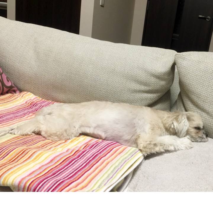 F2c7a67c 52c4 404f bd16 a21dbd6a5c7f 1521808538307