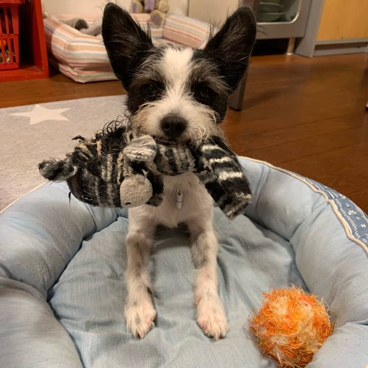 F2c7ab47 b79c 4320 a6b5 d929016bdfeb 1633156940538