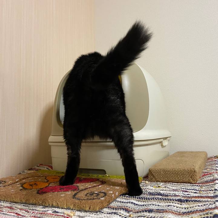 F2c7b474 878d 44bd 91c7 bb363297d58b 1627726553181