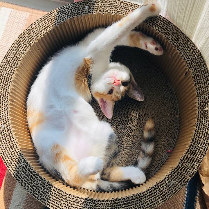 F2c82fcb 55d2 4b9c 9955 56591d4cb8bd 1565502526745