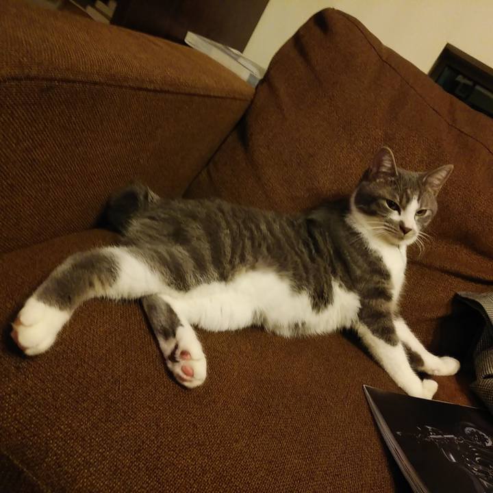 F2c84863 84d5 4482 b784 016a10cd9aba 1577374651874