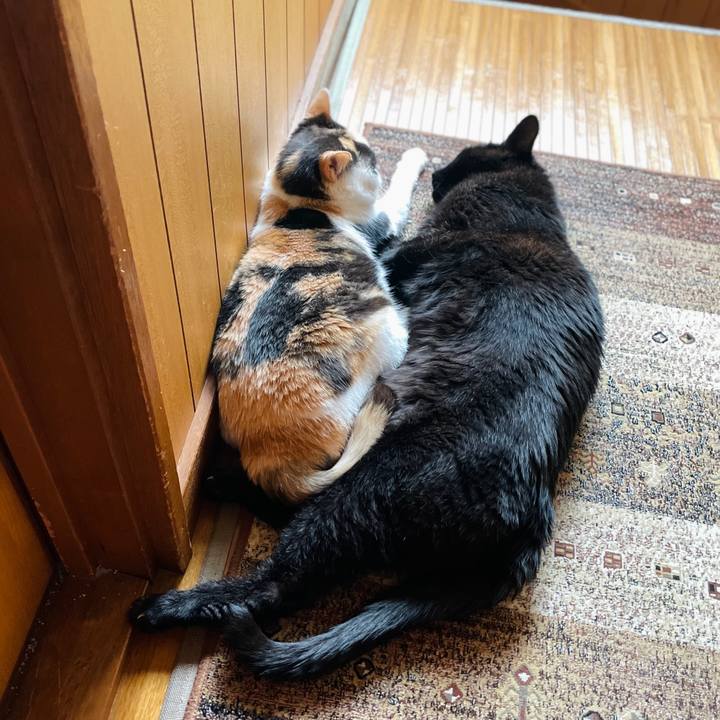 F2c85899 9949 430c af2b b44257b30b31 1660693239278