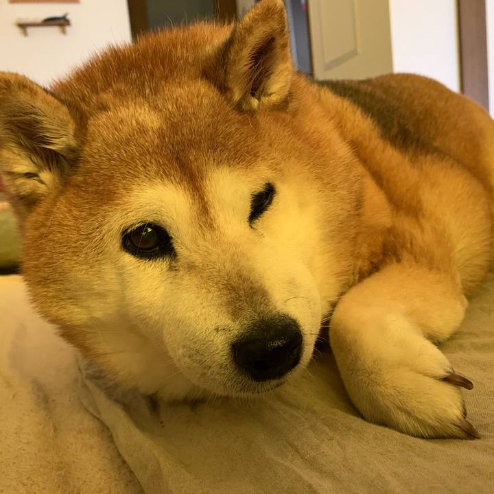 F2c859b0 4df5 4ed9 9b3b fbf9ae277e74 1593920703076