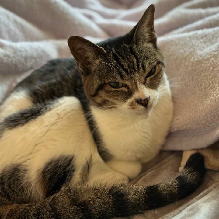 F2c88498 69d0 45c0 a795 3788fbeec923 1674699503316