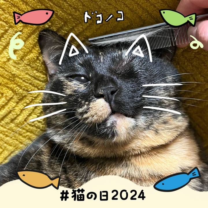 F2c8864d 109e 44ef ab38 e311e0a78e19 1708604805757