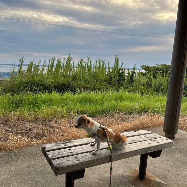 F2c8b8e0 0029 48c6 97b8 851a961b8355 1758614914416