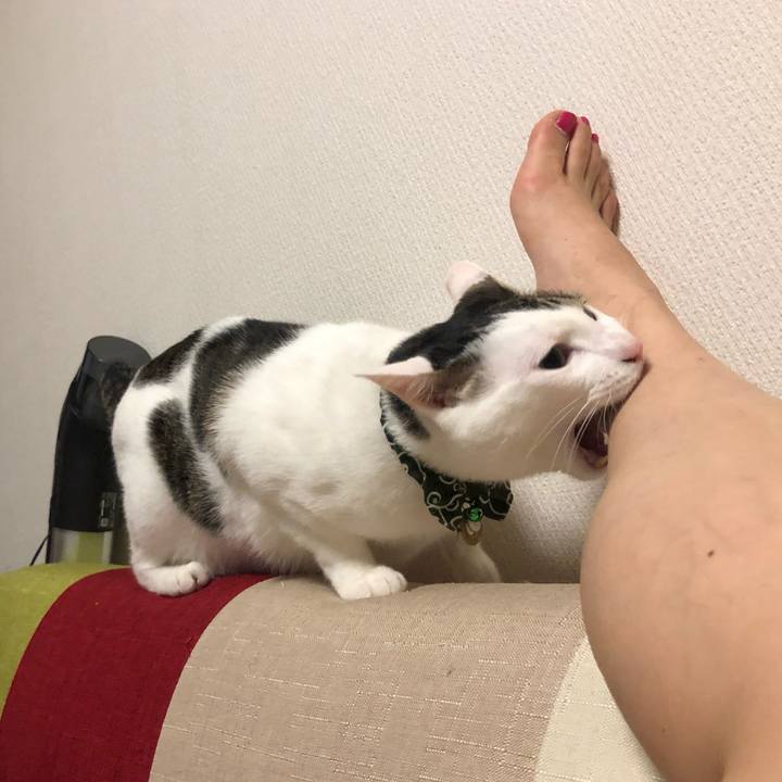 F2c8f0a0 1aa4 4706 950b eb7da945bd7d 1562163859929