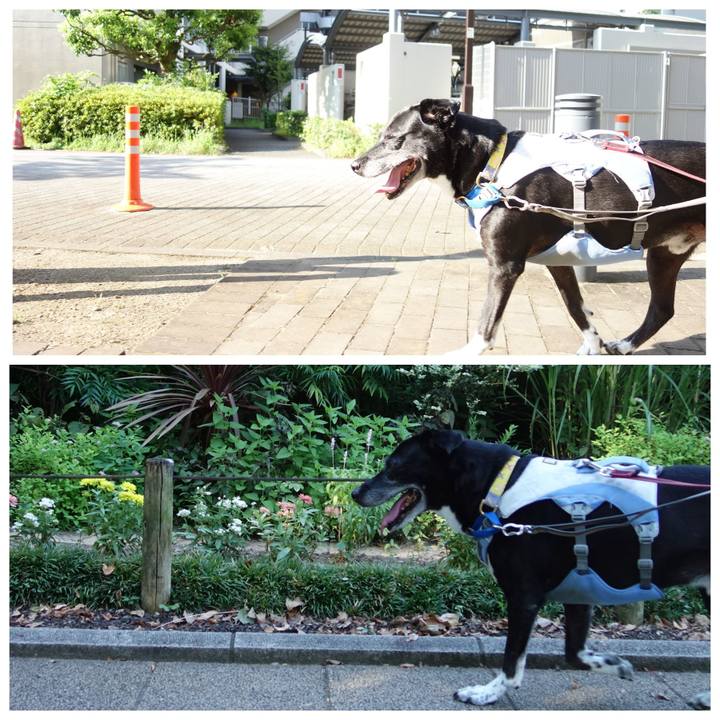 F2c8fd53 a76a 4824 bb2d 14de134c8eaf 1753402474069