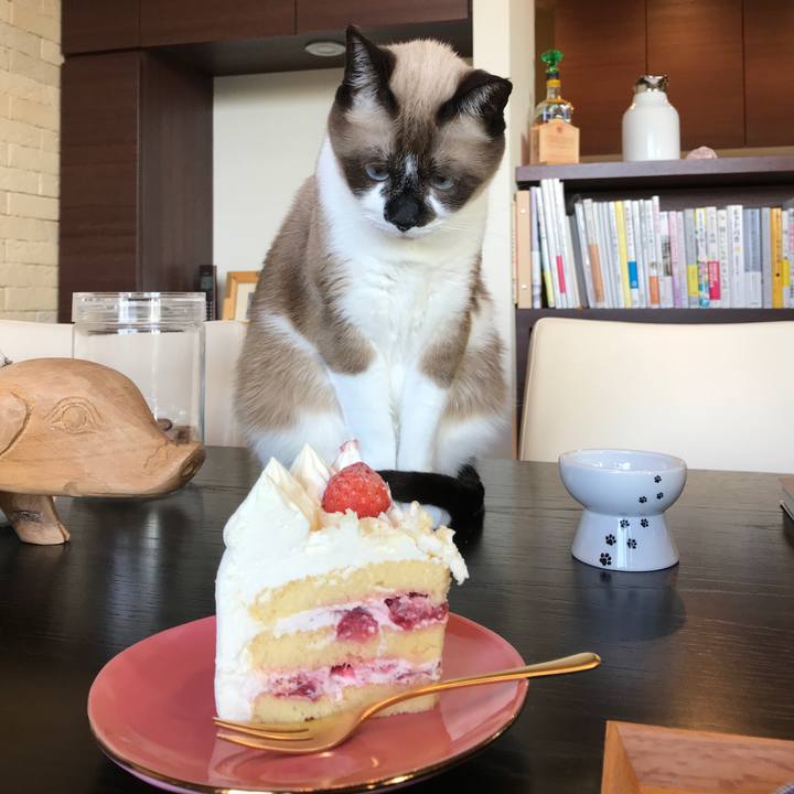 F2c95793 e8b8 4a2f 9698 586c5553de20 1545648428570