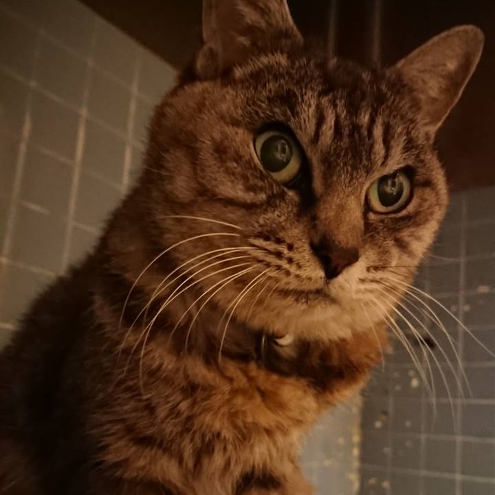 F2c95a25 1655 4e94 8b00 e058b4b3e80c 1573810466437